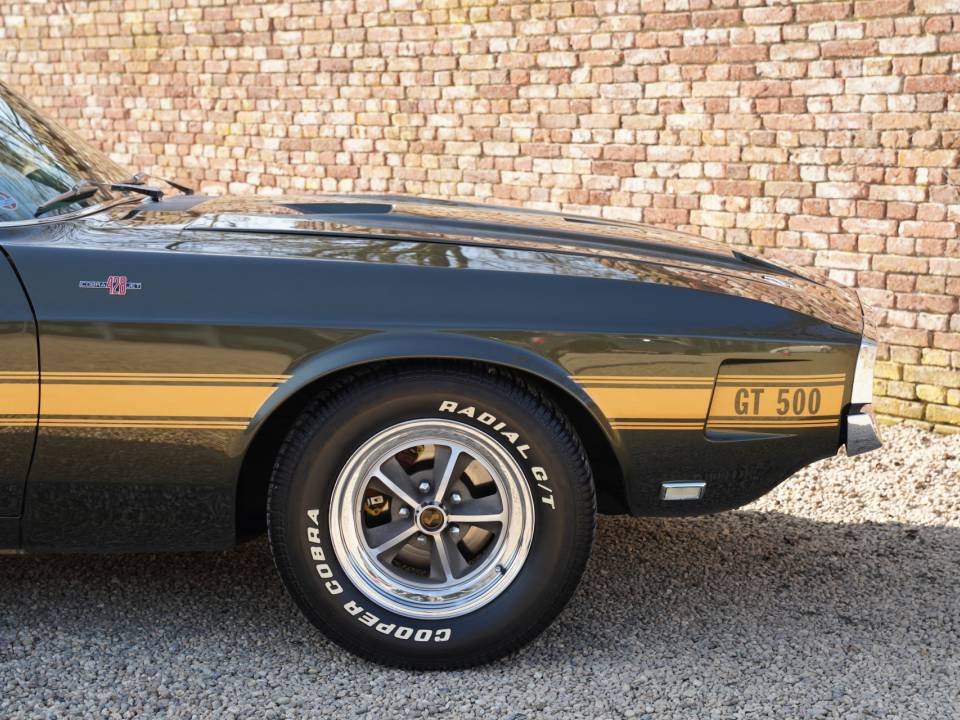 Imagen 22/50 de Ford Shelby GT 500 (1969)