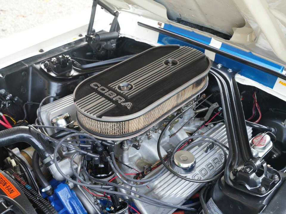 Image 19/50 of Ford Shelby GT 500 (1967)