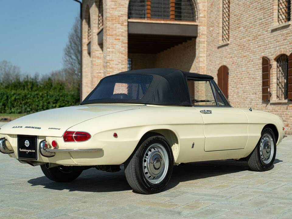 Image 7/50 of Alfa Romeo 1750 Spider Veloce (1969)