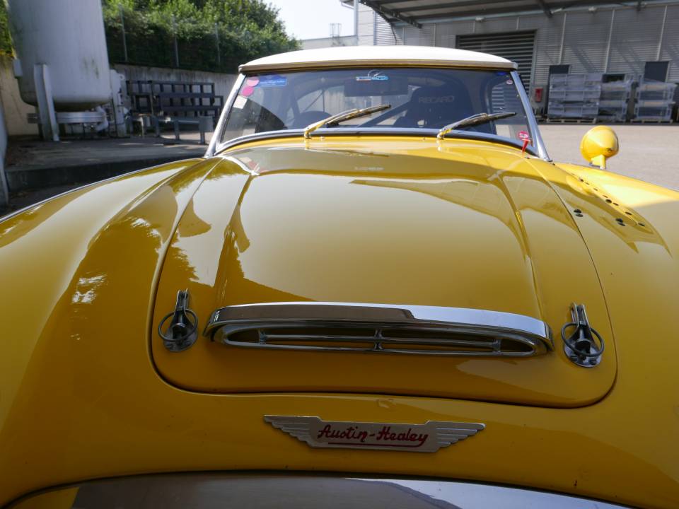 Immagine 8/52 di Austin-Healey 3000 Mk I (BN7) (1959)