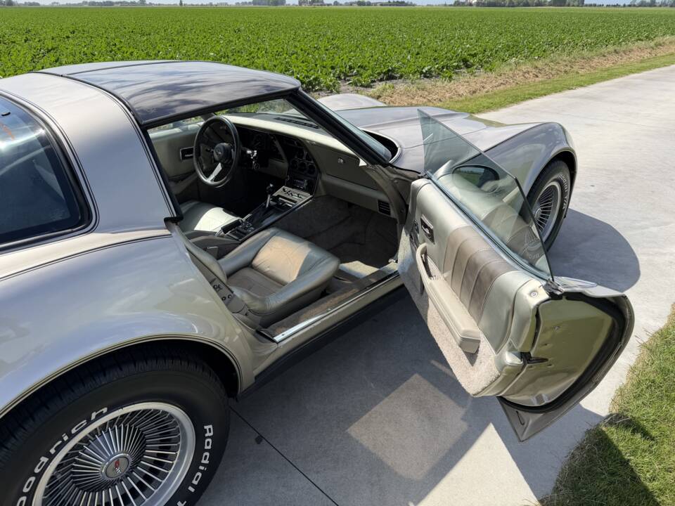 Afbeelding 20/50 van Chevrolet Corvette Collector Edition (1982)