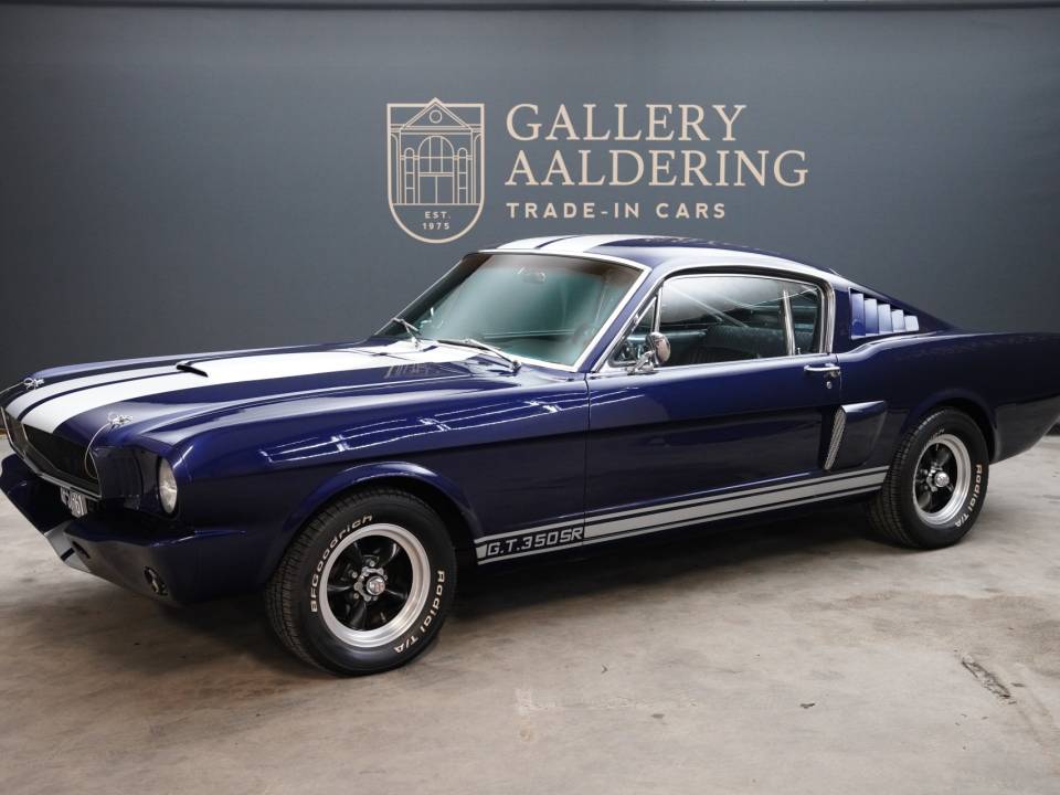 Immagine 13/50 di Ford Shelby GT 350 (1965)