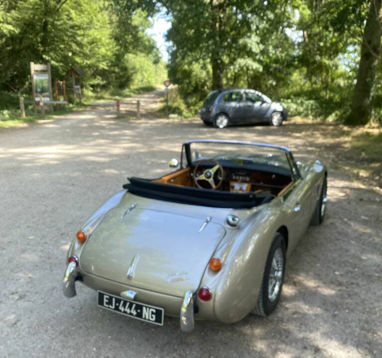 Bild 8/8 von Austin-Healey 3000 Mk III (BJ8) (1965)