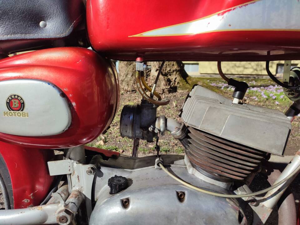 Immagine 17/49 di Benelli Nuovo Leoncino (1965)