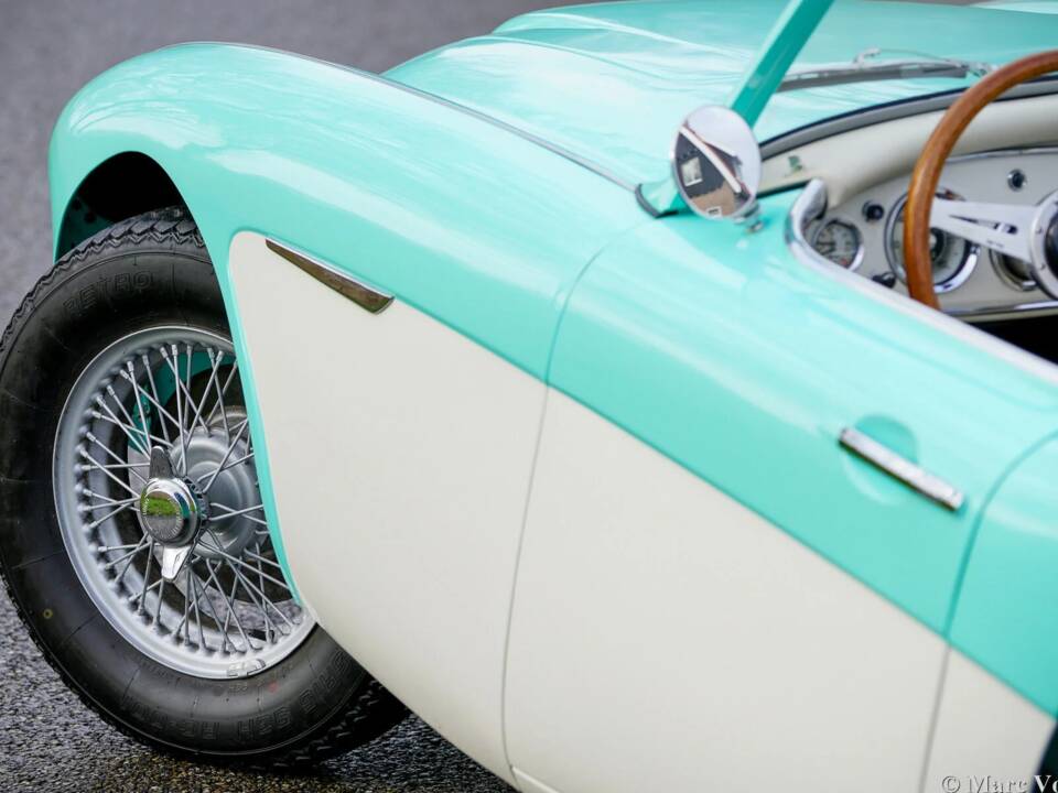 Immagine 42/48 di Austin-Healey 3000 Mk I (BN7) (1960)