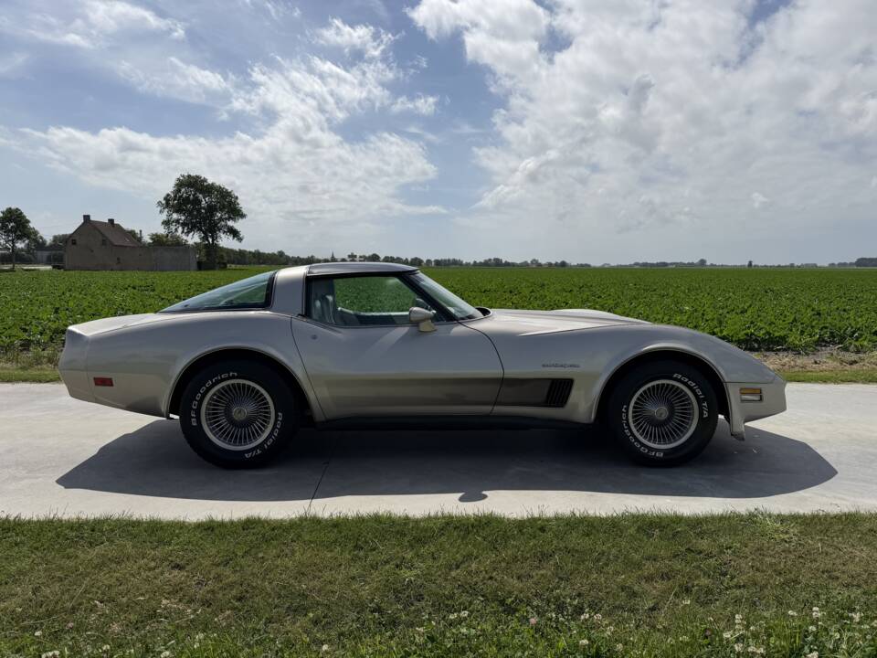 Afbeelding 10/50 van Chevrolet Corvette Collector Edition (1982)