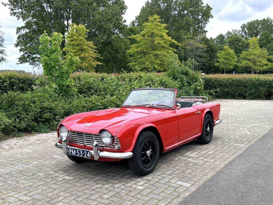 Immagine 1/50 di Triumph TR 4 (1961)