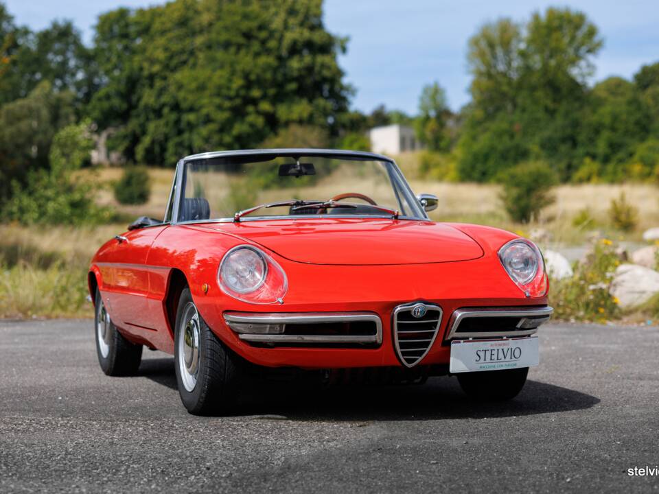 Image 6/44 of Alfa Romeo 1750 Spider Veloce (1969)