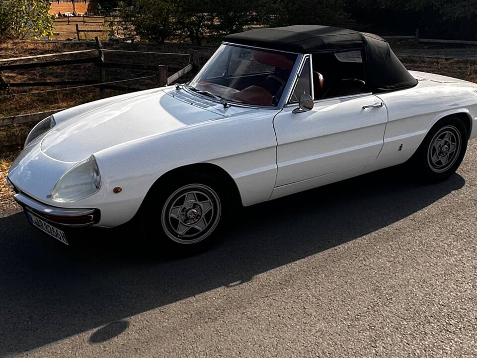 Afbeelding 17/19 van Alfa Romeo 1750 Spider (1969)