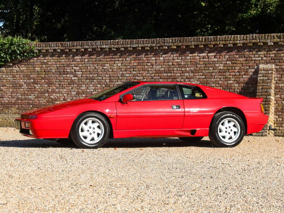 Image 20/50 of Lotus Esprit SE (1992)