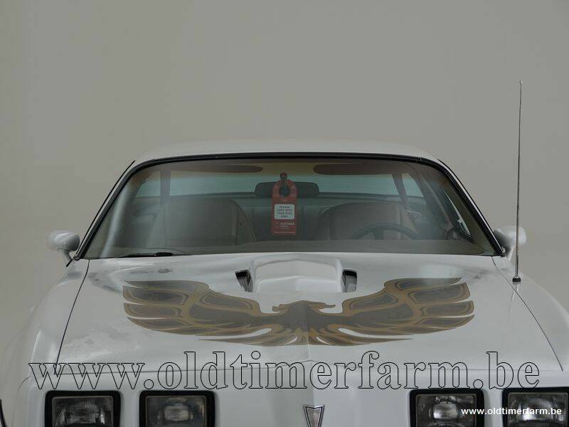 Image 11/15 of Pontiac Firebird Turbo TransAm (1981)