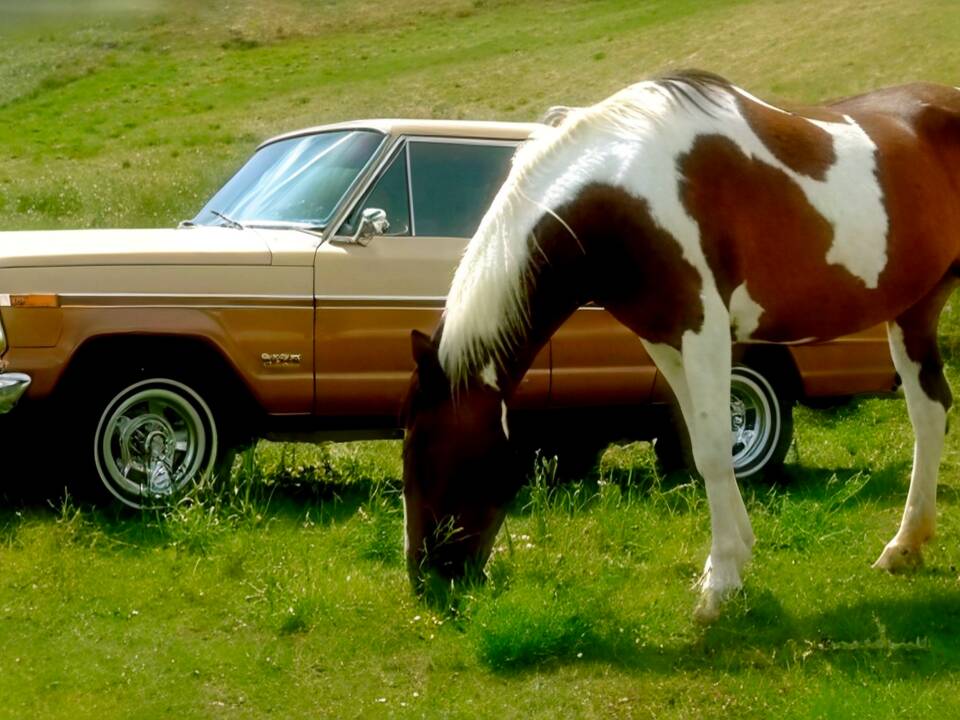 Image 5/14 de Jeep Wagoneer Limited (1979)