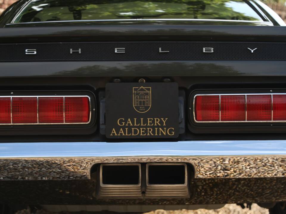 Image 20/50 of Ford Shelby GT 500 (1969)