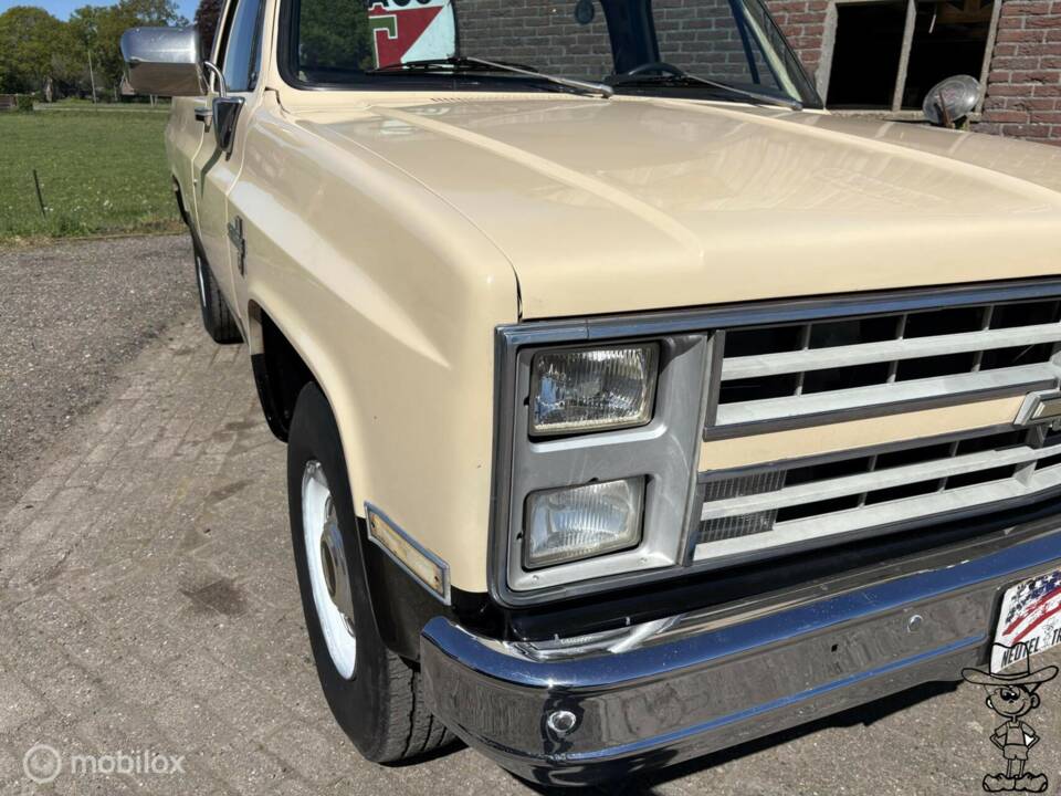 Bild 10/29 von Chevrolet C 20 (1985)