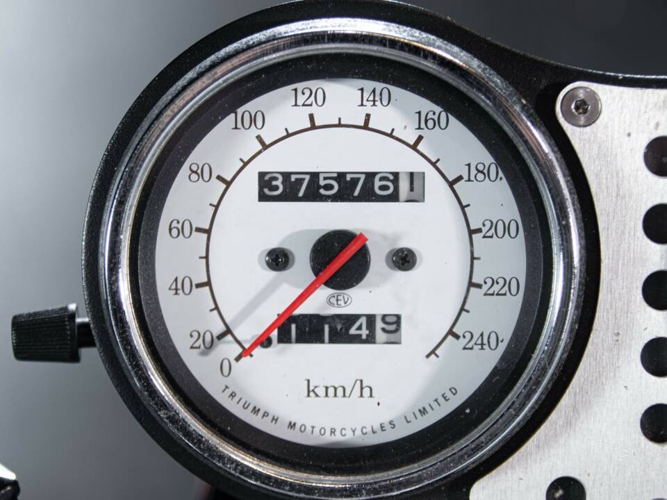 Image 44/50 of Triumph Speed Triple (1995)