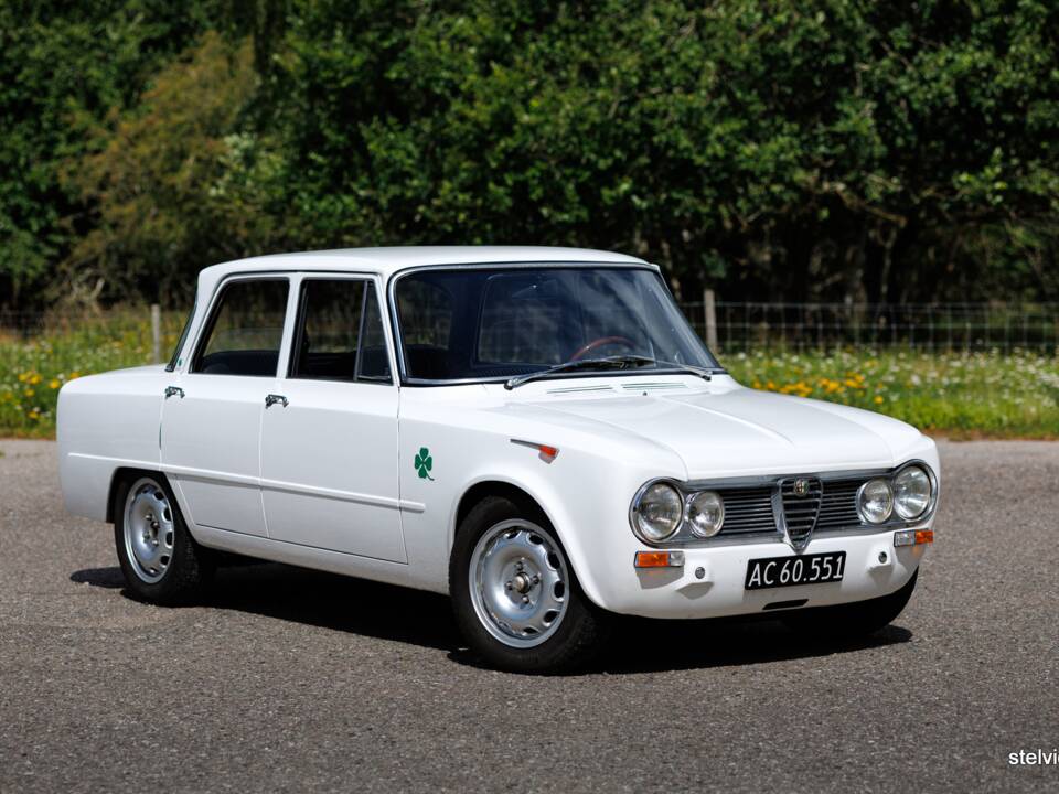 Image 7/40 de Alfa Romeo Giulia 1600 TI (1967)