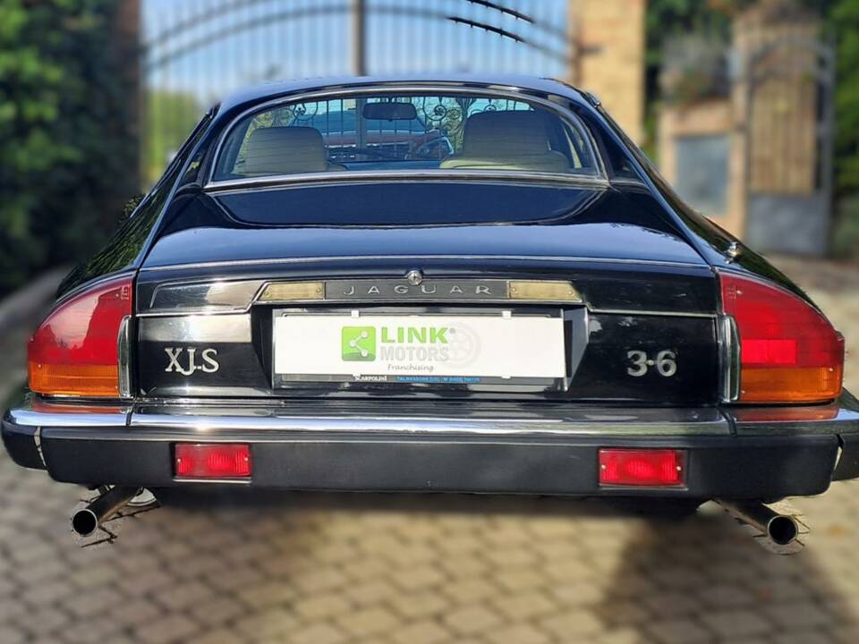 Image 5/40 of Jaguar XJ-S 3.6 (1987)