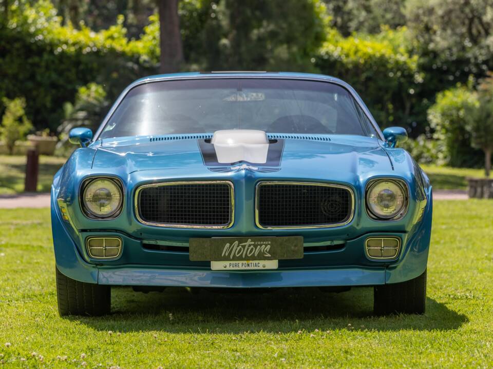 Immagine 7/13 di Pontiac Firebird TransAm (1971)