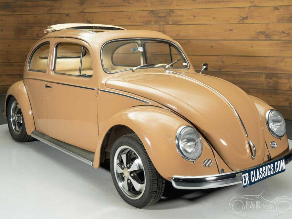 Immagine 17/19 di Volkswagen Maggiolino 1200 Export "Oval" (1957)