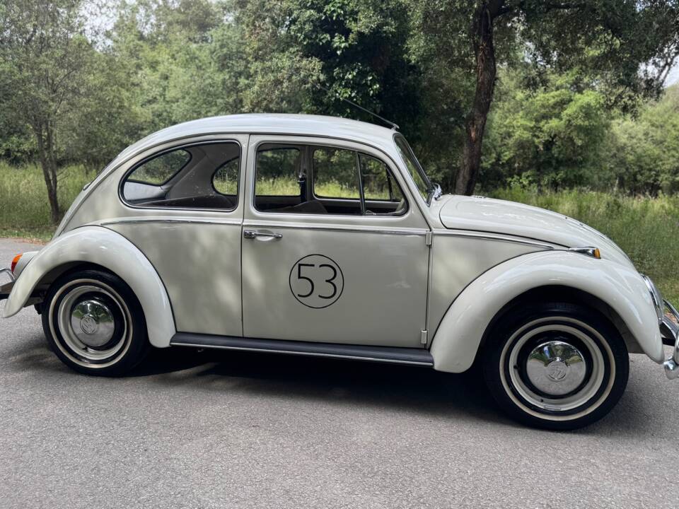 Afbeelding 11/27 van Volkswagen Käfer 1300 (1966)