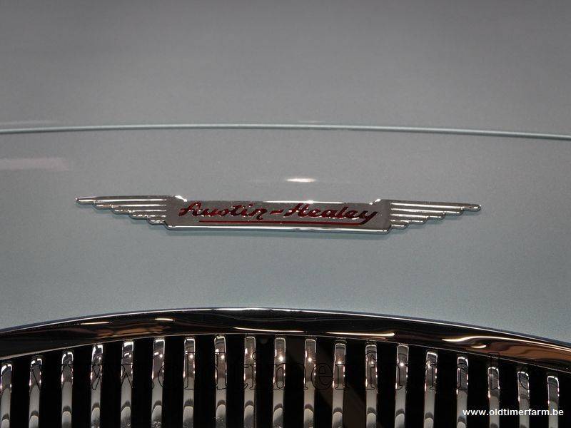 Bild 11/15 von Austin-Healey 100&#x2F;4 (BN1) (1954)