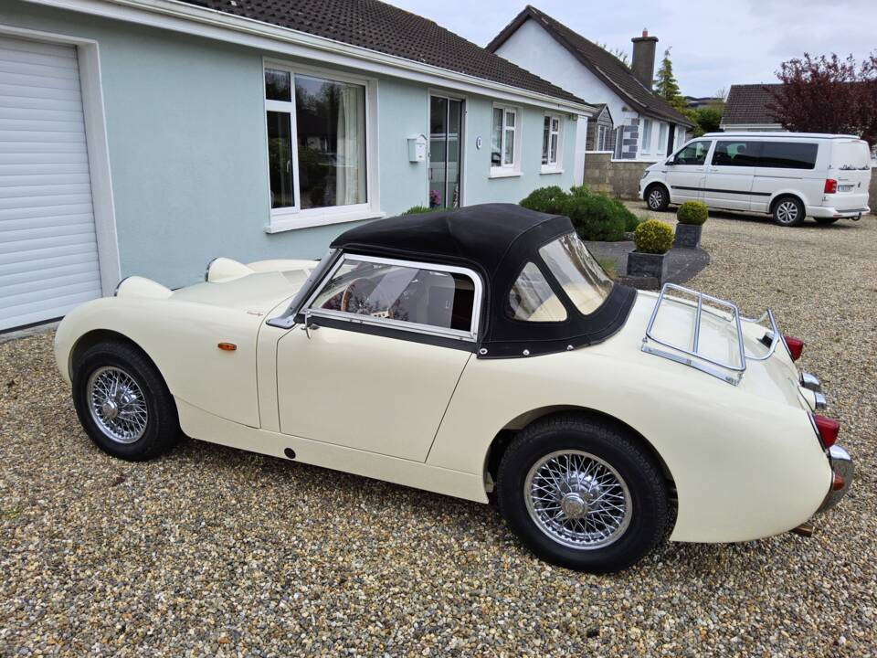 Image 9/32 of Austin-Healey Sprite Mk I (1959)