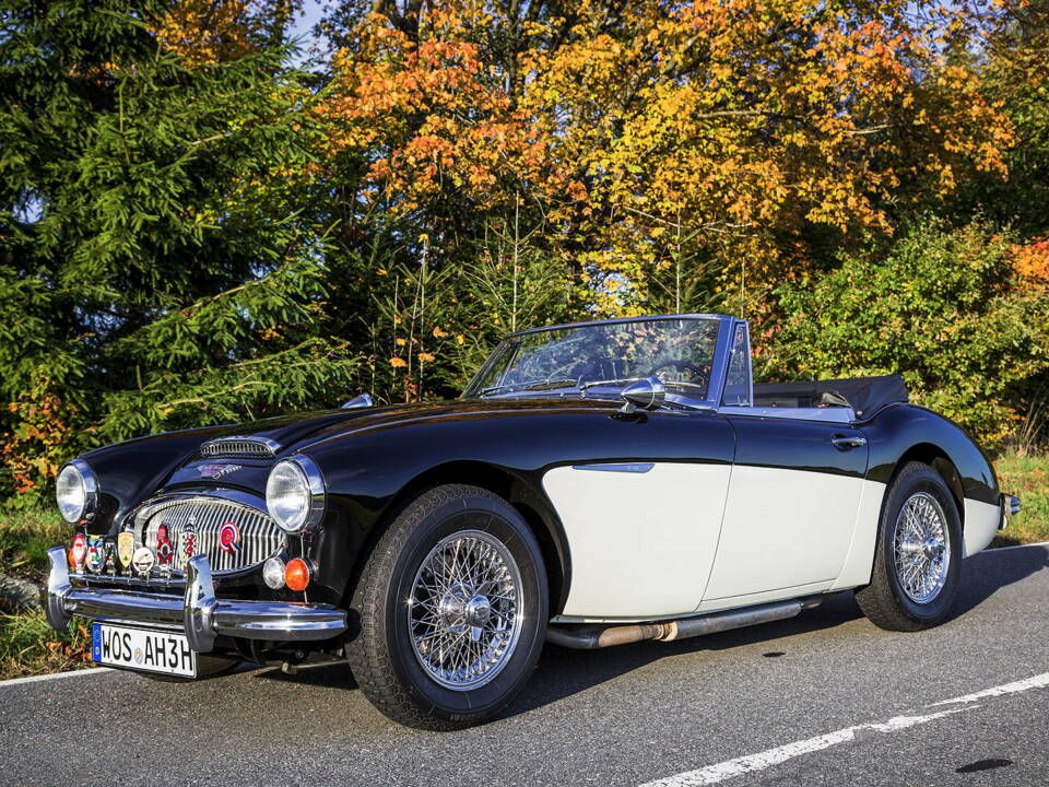 Image 35/35 of Austin-Healey 3000 Mk III (BJ8) (1965)