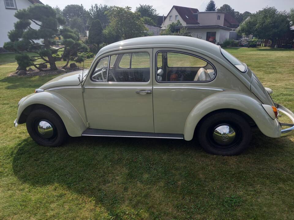 Image 6/137 of Volkswagen Beetle 1200 (1965)