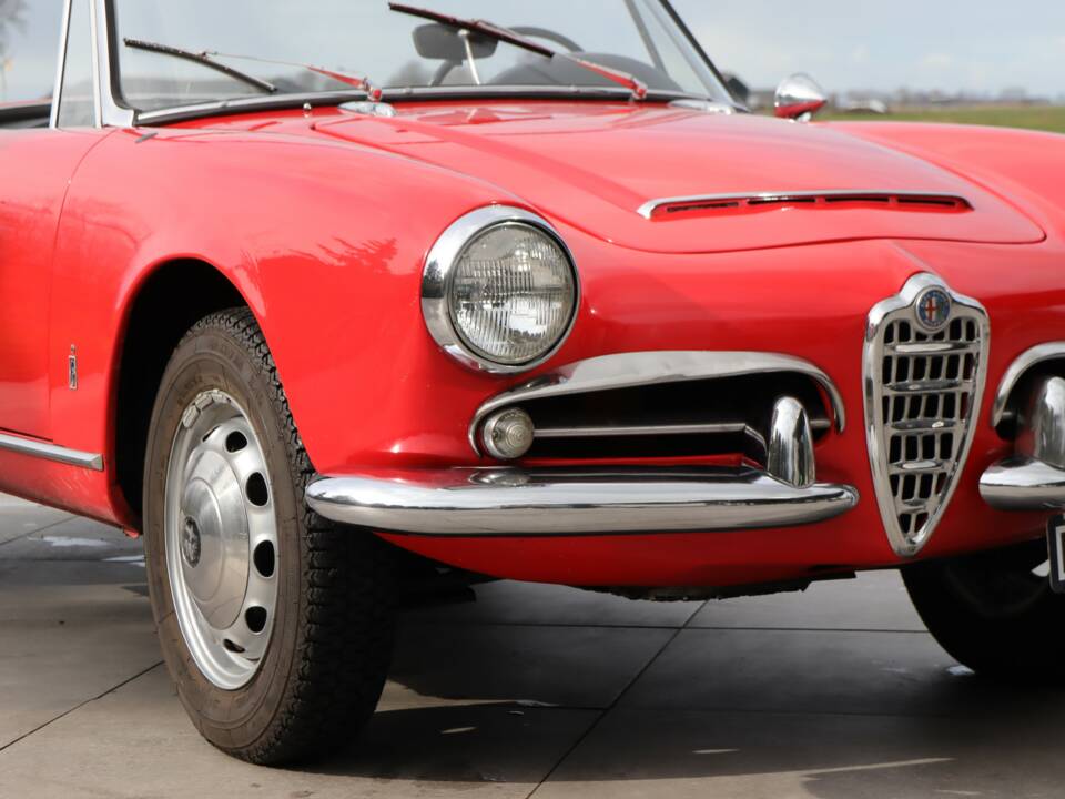 Bild 42/50 von Alfa Romeo Giulia 1600 Spider Veloce (1965)