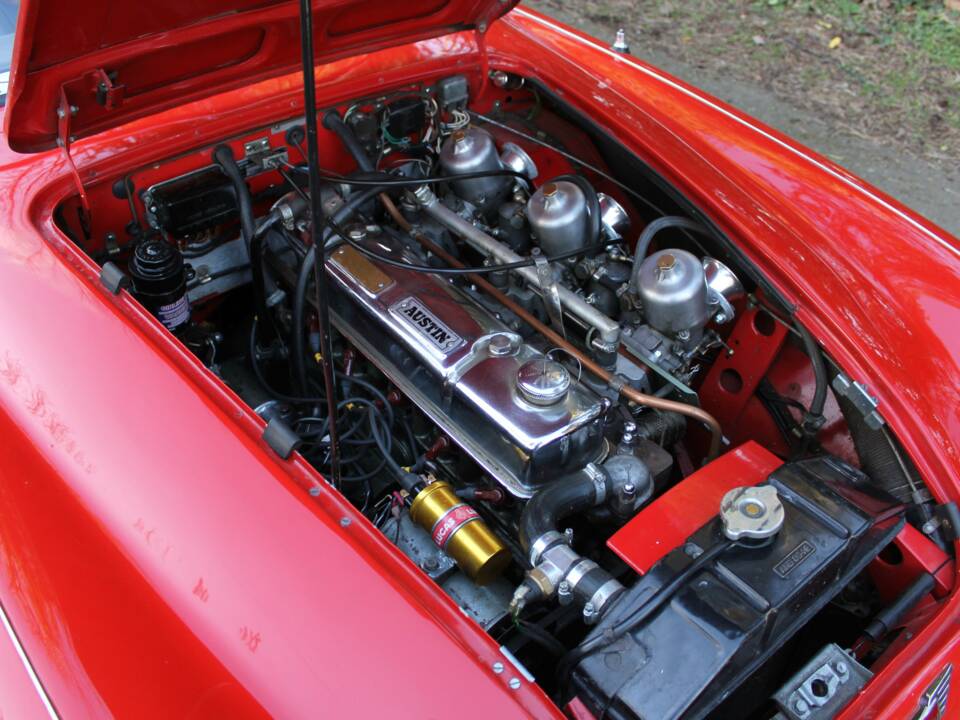Image 14/16 of Austin-Healey 3000 Mk III (BJ8) (1964)