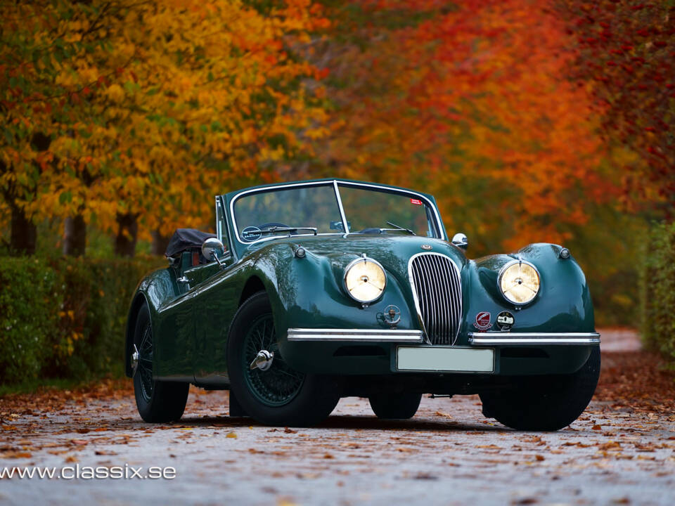 Bild 14/23 von Jaguar XK 120 DHC (1954)