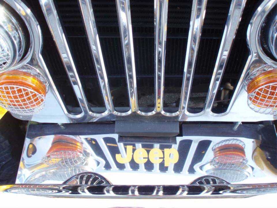 Image 14/51 of Jeep CJ-7 Renegade (1981)