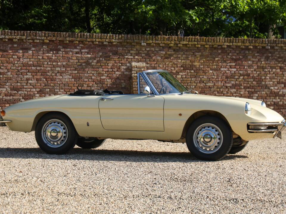 Image 41/50 of Alfa Romeo 1600 Duetto (1967)
