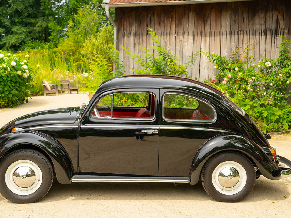 Image 8/80 of Volkswagen Beetle 1200 Export &quot;Dickholmer&quot; (1960)