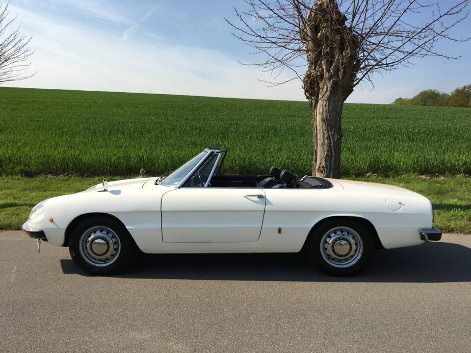 Image 3/11 of Alfa Romeo Spider 1300 Junior (1970)