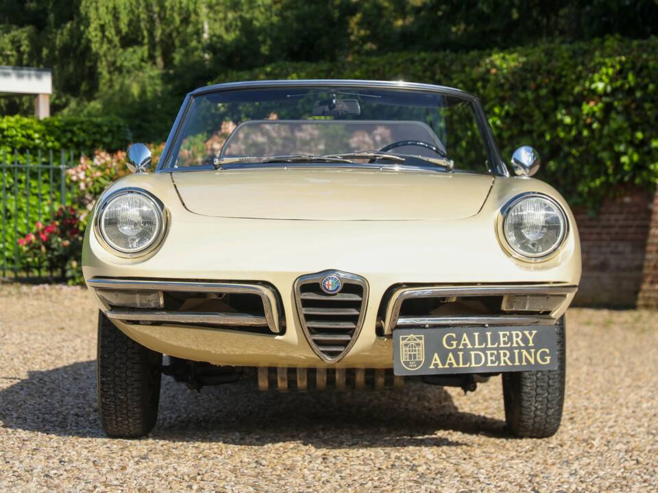 Image 38/50 of Alfa Romeo 1600 Duetto (1967)