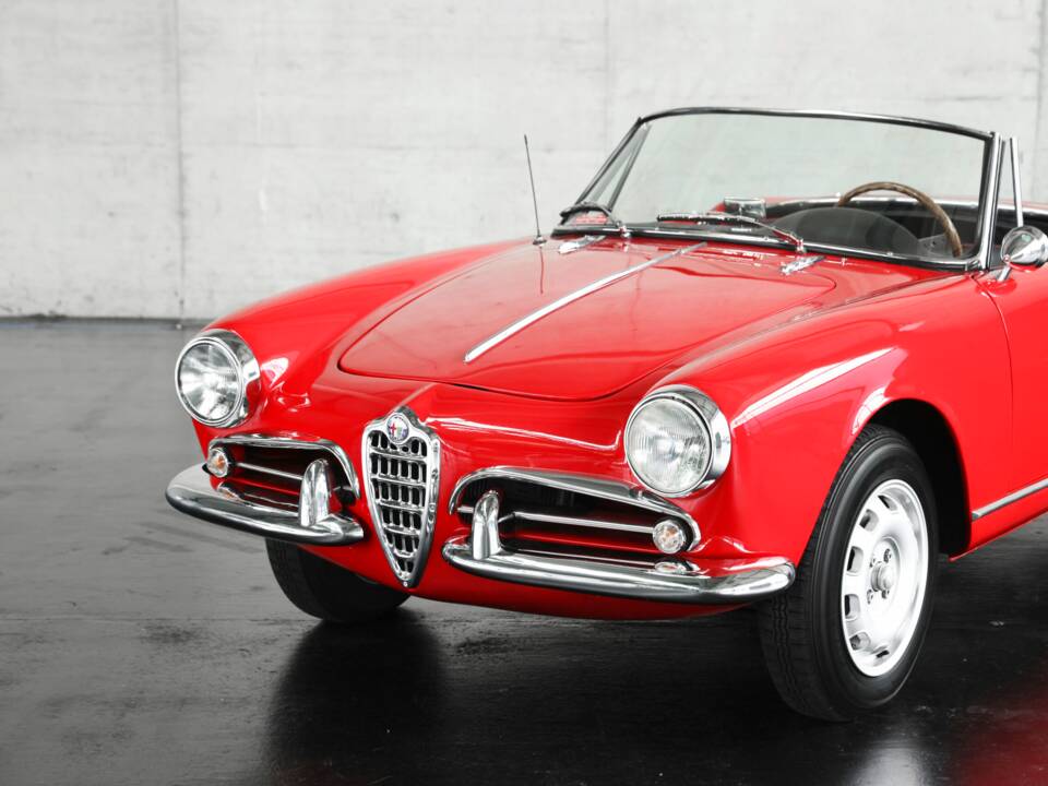 Image 11/50 of Alfa Romeo Giulietta Spider (1962)