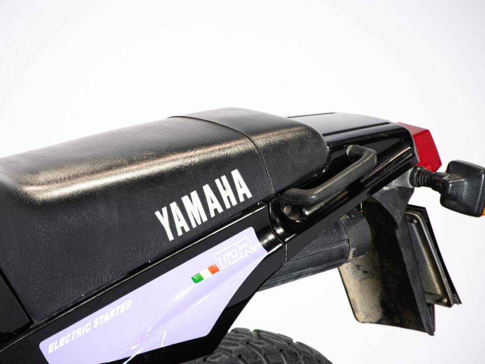 Bild 41/46 von Yamaha TDR 125 R (1992)