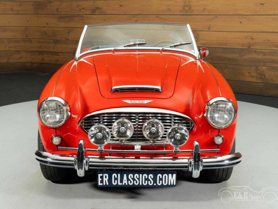 Imagen 17/19 de Austin-Healey 100/6 (BN4) (1958)