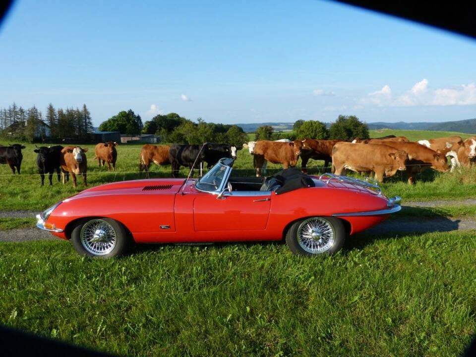 Imagen 9/21 de Jaguar E-Type 4.2 (1967)