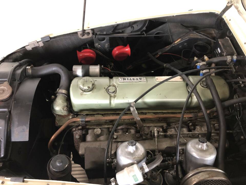Image 23/24 of Austin-Healey 3000 Mk III (BJ8) (1965)