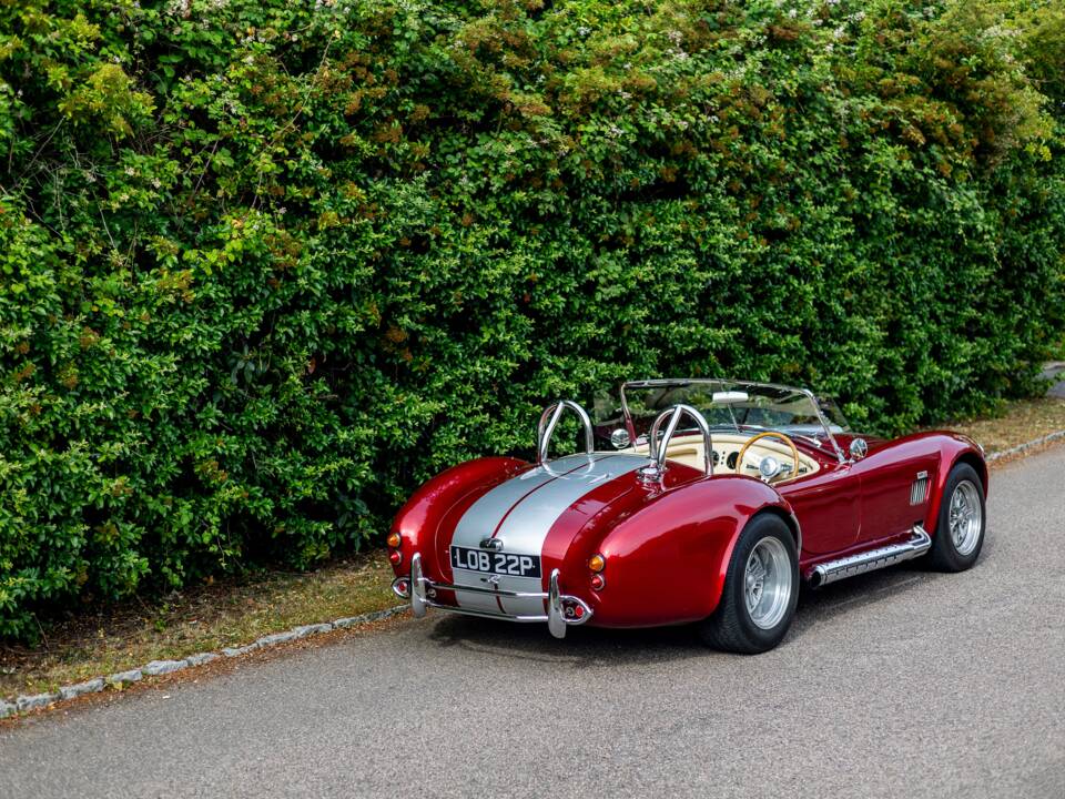 Bild 17/50 von Dax Cobra (1976)