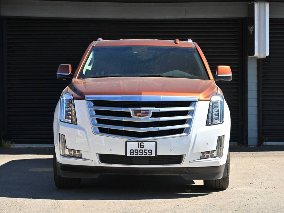 Bild 5/50 von Cadillac Escalade (2019)