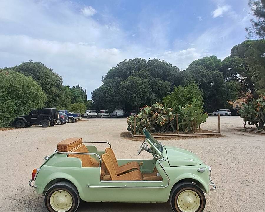 Image 11/80 of FIAT Ghia 500 Jolly (1970)