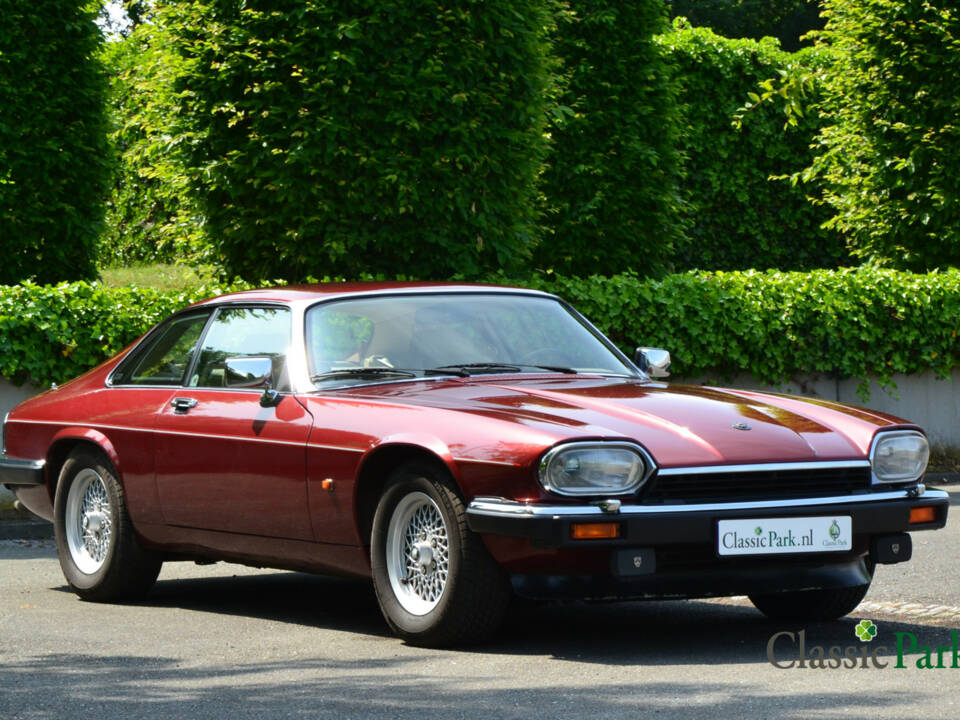 Imagen 7/50 de Jaguar XJS 5.3 V12 (1992)
