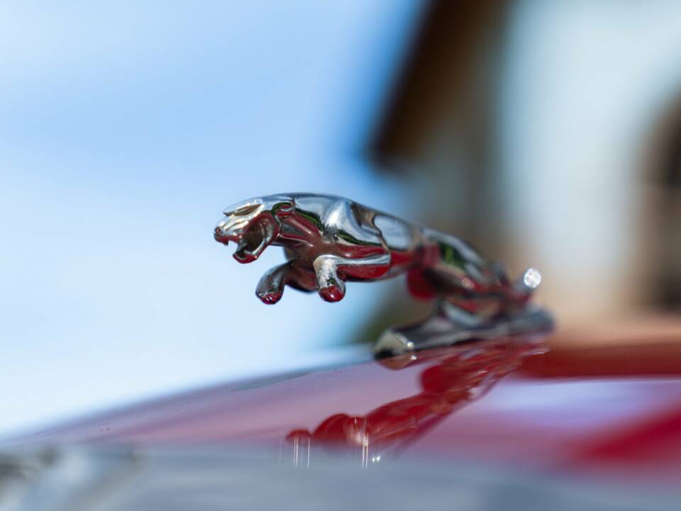 Imagen 12/50 de Jaguar XJ 6 4.2 (1981)