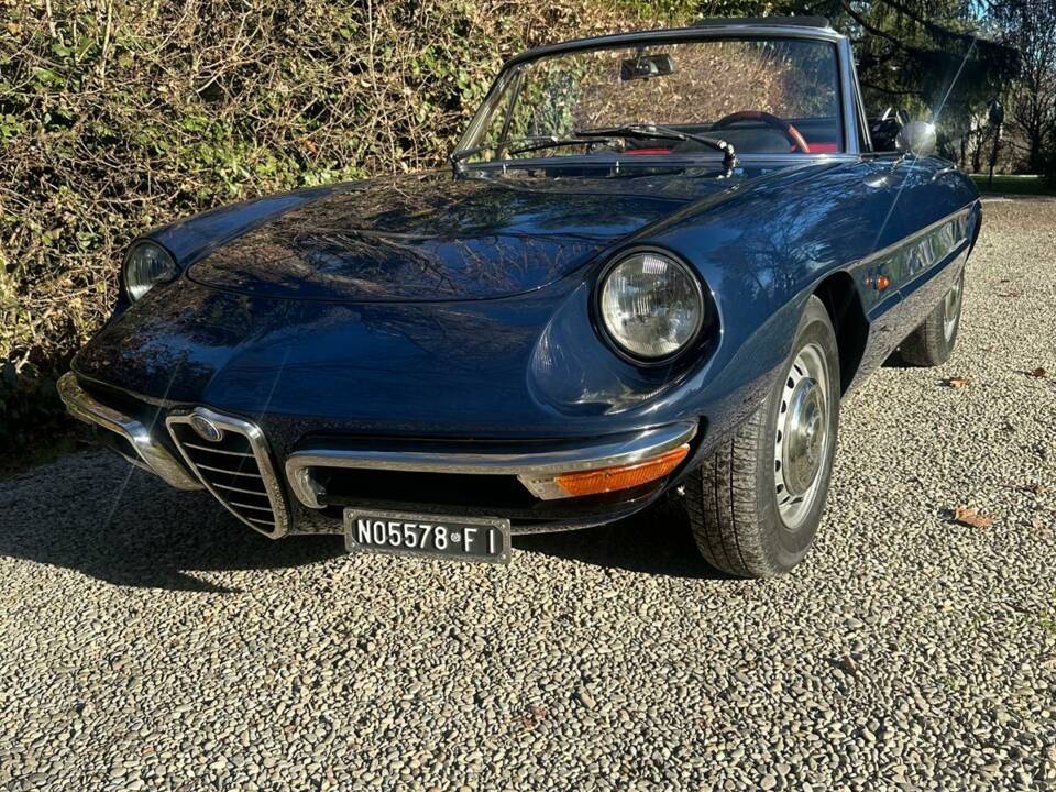 Image 1/14 of Alfa Romeo 1300 Spider Junior (1969)