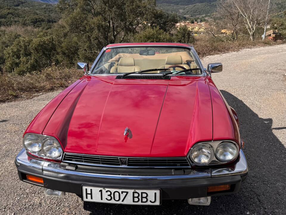 Bild 49/62 von Jaguar XJ-S Convertible (1988)