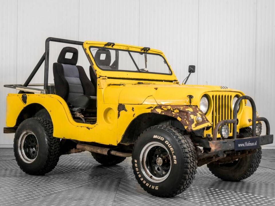 Afbeelding 7/50 van Willys-Viasa CJ-3B (1957)