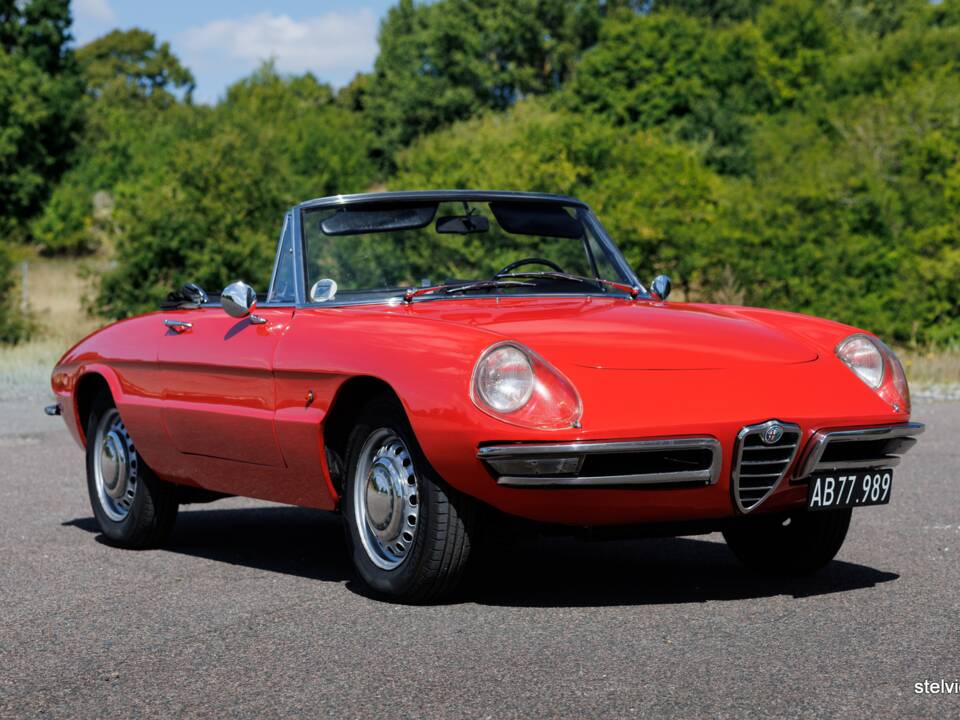 Afbeelding 4/37 van Alfa Romeo 1600 Spider Duetto (1966)